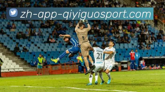 App Interface Preview