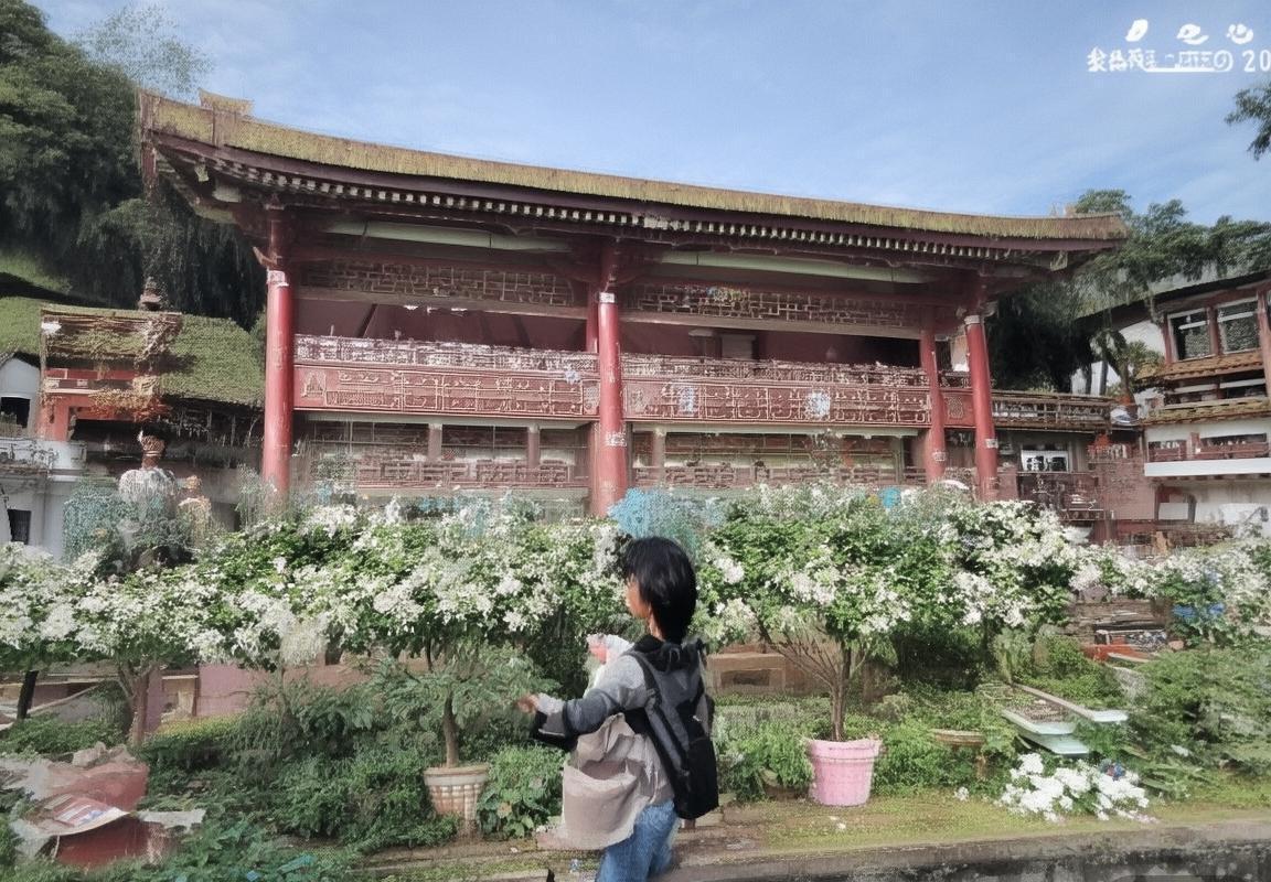 2003年NBA经典对决：费城76人vs华盛顿奇才深度分析(图3)